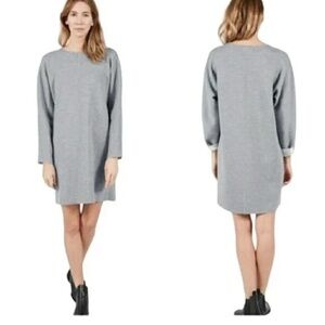 Everlane Thick Scuba Wool Blend Knit Relaxed Fit Tunic Dress Gray Size S